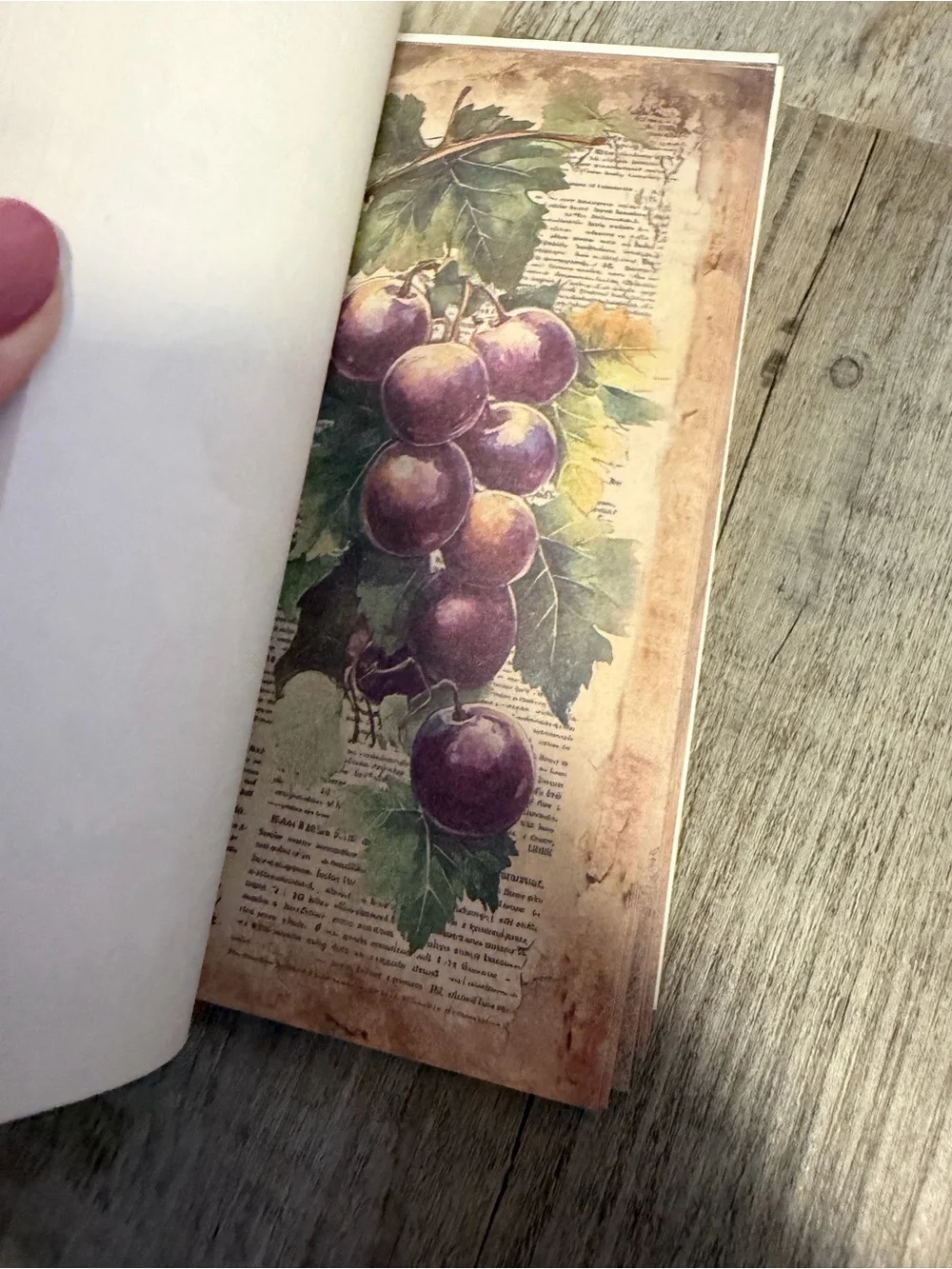 Scrap Paper - Picture 4 of 6